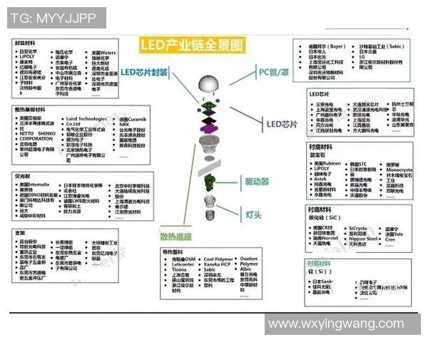从小球场到世界舞台足球明星成长历程全景图解