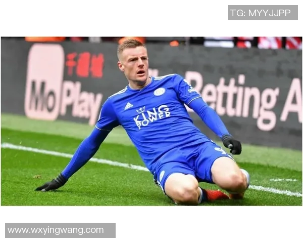 挪威足球明星的传奇故事与成就揭秘，谁是最闪耀的球场之星