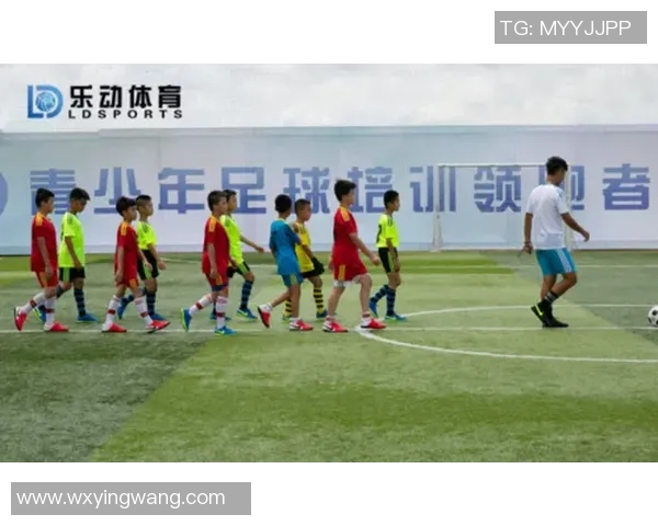 乐动体育培训项目助力青少年全面发展与健康成长的创新方案