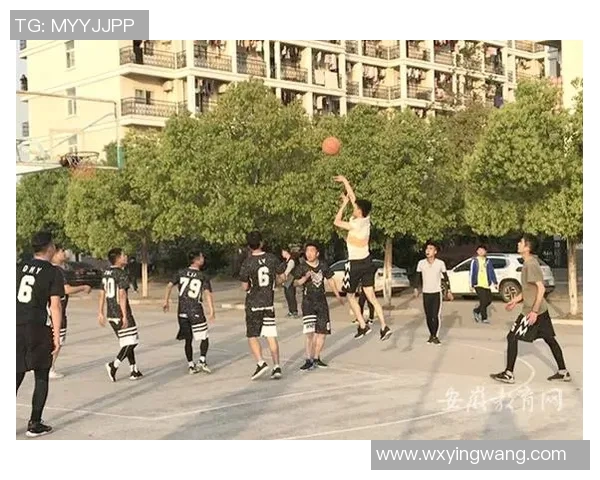 合肥学院篮球明星的成长之路与辉煌成就探秘