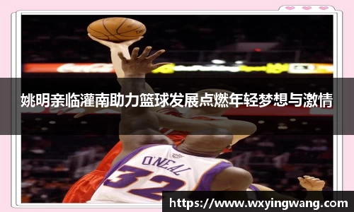 中欧体育官网