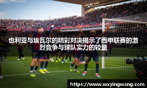 中欧体育